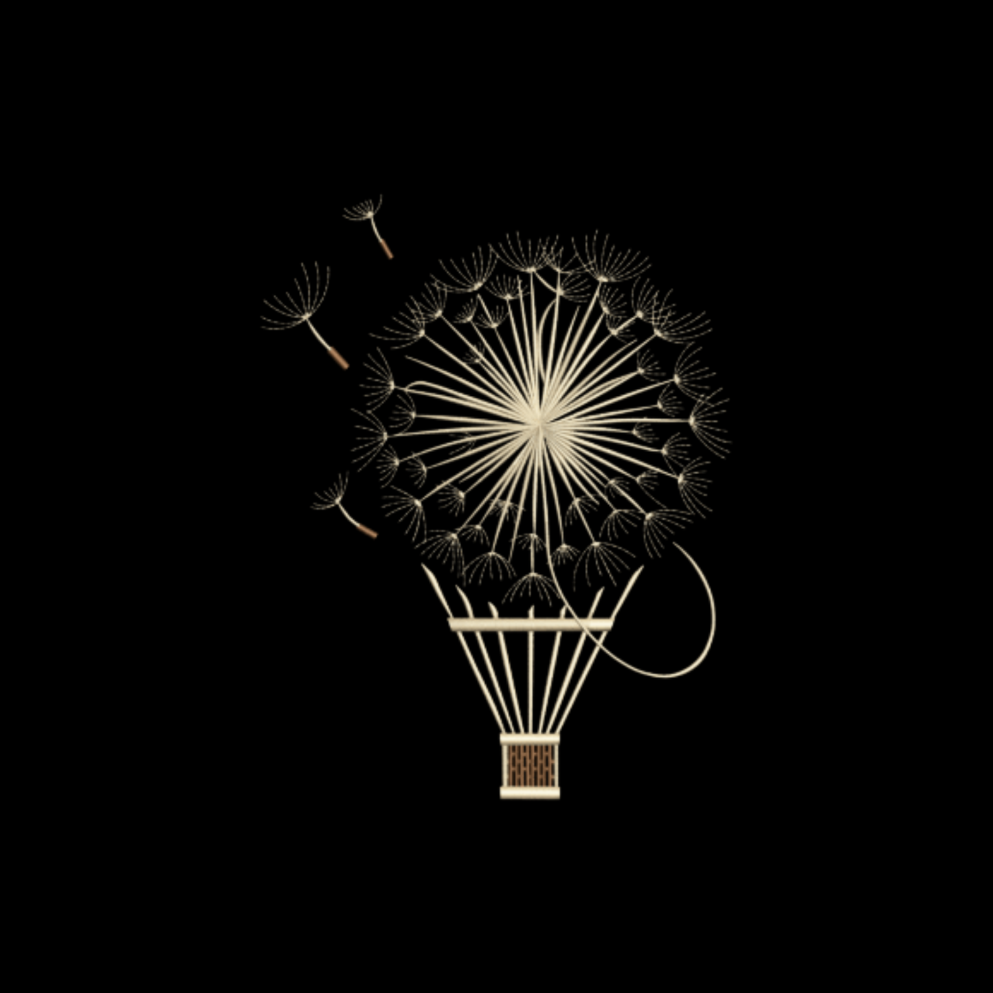 Dandelion Hot Air Balloon T-Shirt